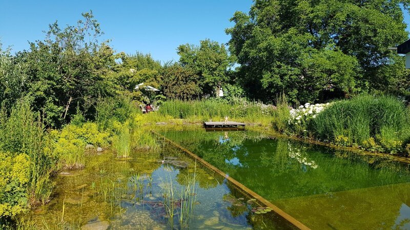 Noch immer gehört ein eigener Garten zum vollkommenen Glück vieler Menschen. Und so unterschiedlich wie die Menschen sind auch ihre Gärten. Vom wilden Waldgarten bis zum gepflegten Rosengarten mit 70 unterschiedlichen Rosenstöcken, von der Parkanlage des Gartenplaners bis zum wilden Grün des Künstlers. Die Dokumentation zeigt eine bunte Vielfalt und ist eine Reise durch die Gartenkultur Vorarlbergs. – Bild: ORF/​Landesstudio Vorarlberg/​Petra Assmann