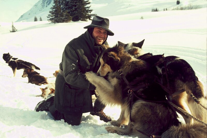 Wolfsblut – Bild: Turner