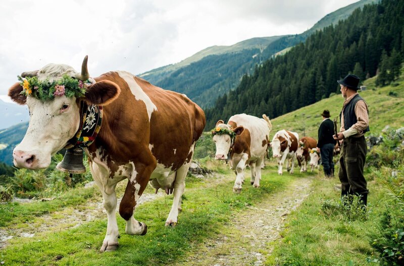 Märzengrund – Bild: SWR /​ © SWR/​Metafilm /​ © SWR/​Metafilm