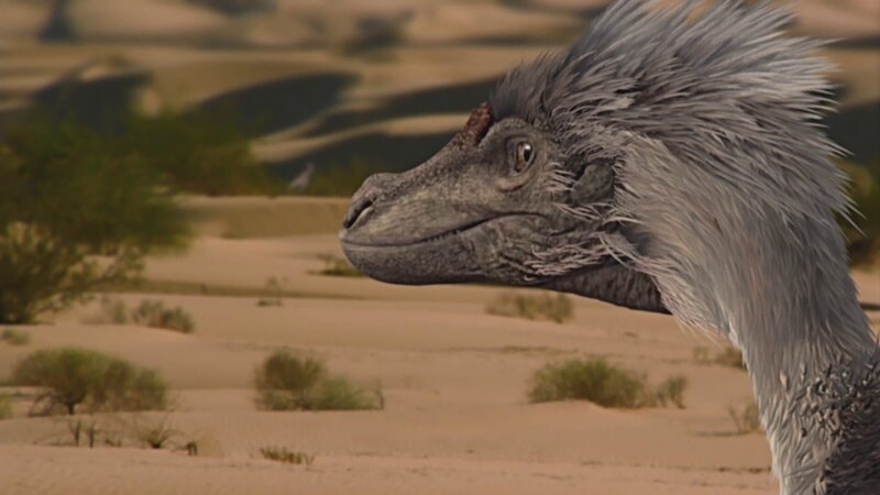 Ein Velociraptor. – Bild: ZDF und Getty Images / Caligari Entertainment./Getty Images / Caligari Entertai Ein Velociraptor. – Bild: ZDF und Getty Images / Caligari Entertainment./Getty Images / Caligari Entertai