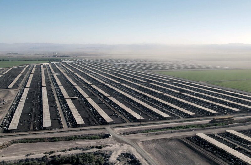 Wohin die Flüsse verschwinden – Bild: Felix Meschede