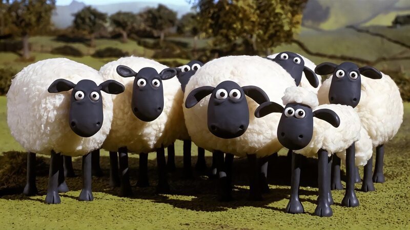 Shaun das Schaf (3.Staffel) – allgemein 4; © WDR/​Aardman Animations Ltd. – Honorarfreie Verwendung gemäß AGB im redaktionellen Zusammenhang mit genannter Sendung bei Nennung „Bild: WDR/​Aardman Animations Ltd.“. Andere Verwendung nur nach Absprache. KiKA Marketing & Kommunikation – bildredaktion@kika.de Telefon: +49 361.218⁠–⁠1826 – Bild: Kinderkanal