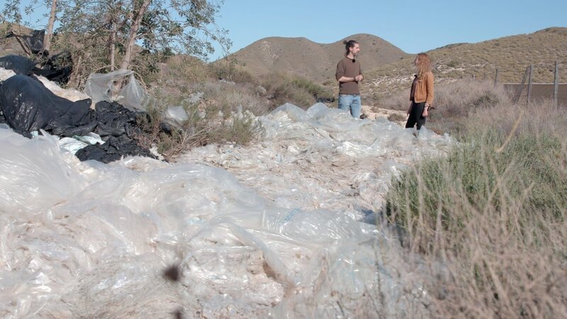 Ein Drittel der Plastikfolien müssen jährlich erneuert werden, mit denen Treibhäuser bedeckt werden. – Bild: Helmut Wagenpfeil