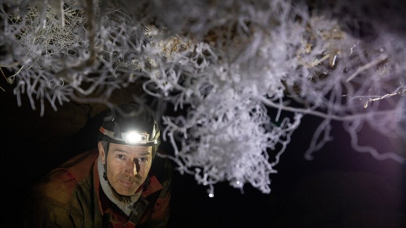 Dirk Steffens ist der siebte Mensch auf Erden, der dieses Naturwunder mit eigenen Augen sehen darf: die größte „Eisenblüte“ Europas, ein Aragonitkristall. Er wuchs verborgen in einer erst 2019 entdeckten Höhle, dem Windloch, in Nordrhein-Westfalen. – Bild: ZDF und ZDF /​ Oliver Roetz./​ZDF /​ Oliver Roetz