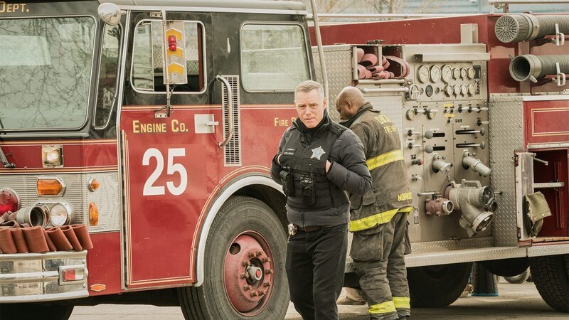 Hank Voight (Jason Beghe) – Bild: AXN