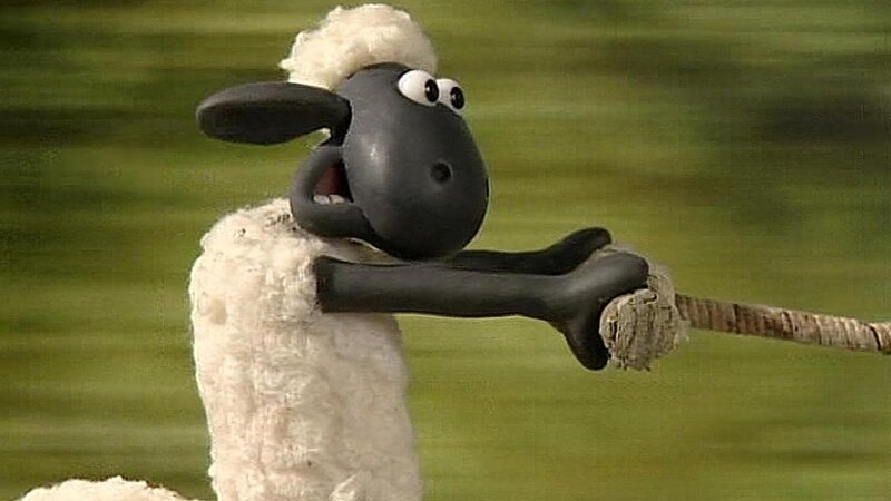 Der neue Farmbewohner hält Shaun ziemlich in Atem. – Bild: WDR/​Aardman Animation Ltd./​BBC