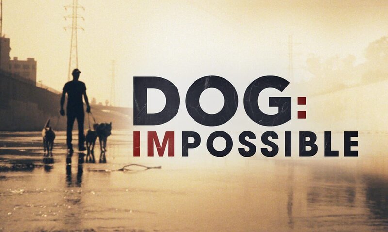(1. Staffel) – Dog Impossible – Zweite Chance für Hunde – Artwork – Bild: 2019 National Geographic Partners, LLC. All rights reserved. Lizenzbild frei