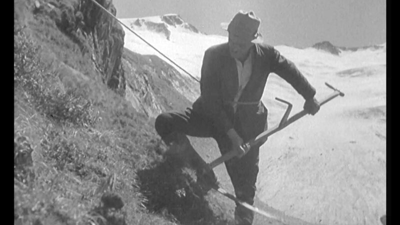 Mähen per Hand mit der Sense in den steilen Hanglagen des Mölltals. – Bild: ORF/Unafilm Mähen per Hand mit der Sense in den steilen Hanglagen des Mölltals. – Bild: ORF/Unafilm