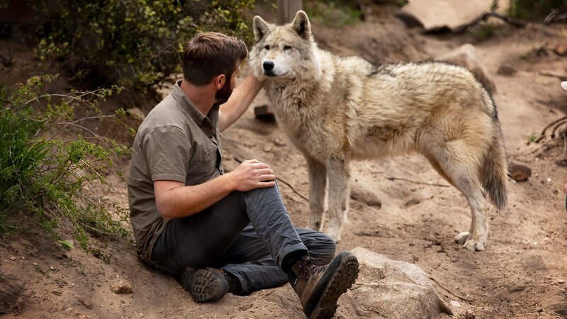 Forrest Galante with a wolf. – Bild: Warner Bros. Discovery