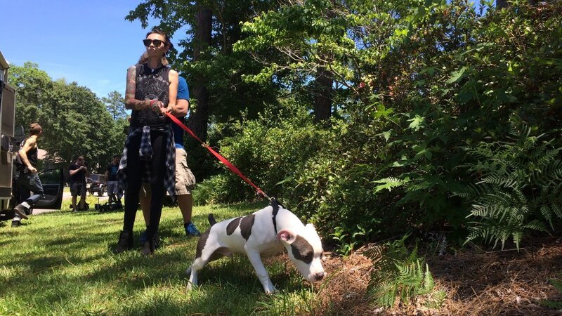 Mariah mit PJ an der Leine beim Hauscheck. – Bild: Discovery Communications