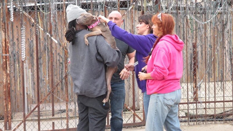 Lizzy and Tia giving the neighbor’s dog a shot. – Bild: Discovery Communications
