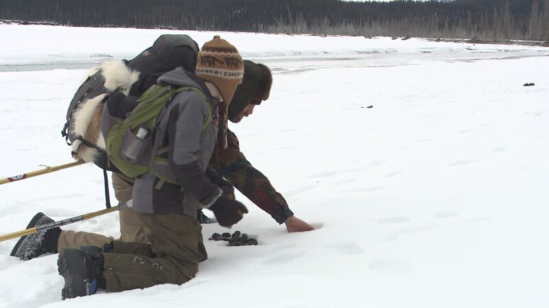 Bild: Discovery Channel