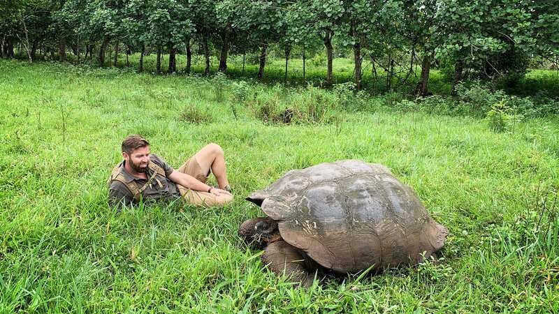 Forrest Galante With Galapagos Tortoise Kneeling Close Up. – Bild: Animal Planet