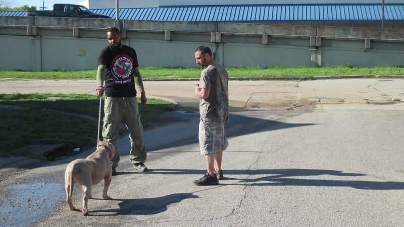 Joe and Mike walk Rhino. – Bild: Animal Planet /​ Discovery Communications
