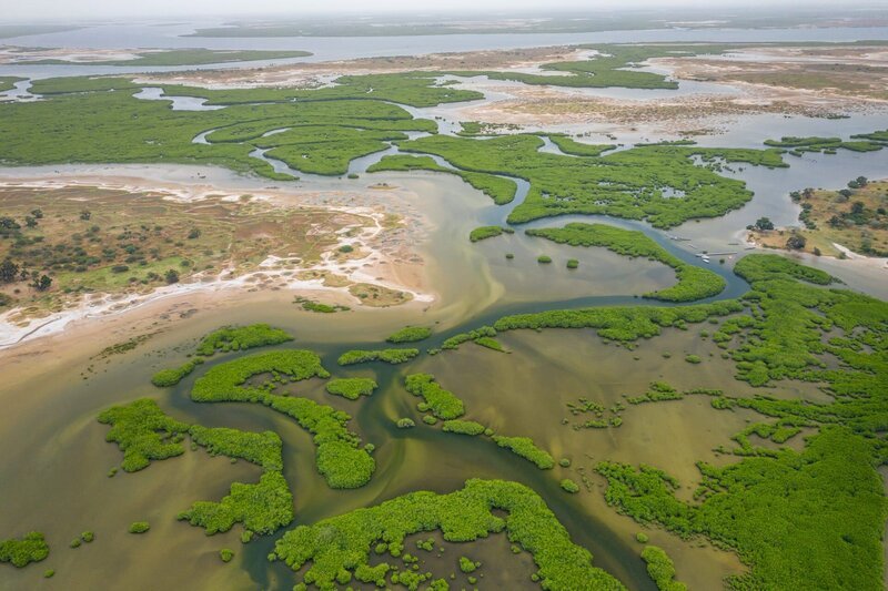 Aerial view of mangrove forest in the Saloum Delta National Park, Joal Fadiout, Senegal. Photo made by drone from above. Africa Natural Landscape. – Bild: Mariusz Prusaczyk / Curioso.Photography Aerial view of mangrove forest in the Saloum Delta National Park, Joal Fadiout, Senegal. Photo made by drone from above. Africa Natural Landscape. – Bild: Mariusz Prusaczyk / Curioso.Photography