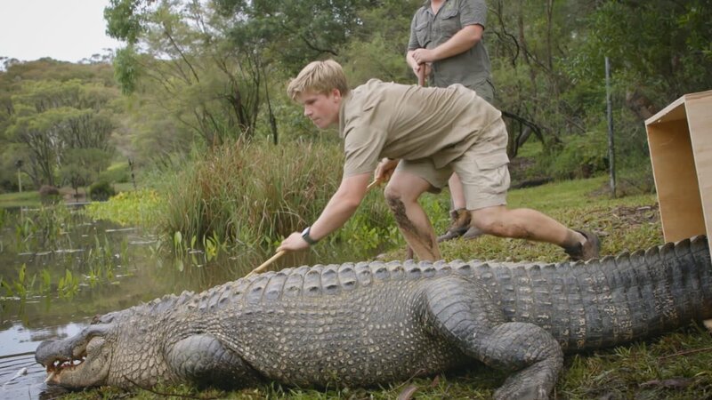 Robert Irwin mit einem Krokodil – Bild: Warner Bros. Discovery