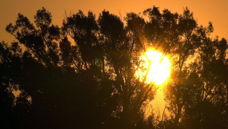 Wiener Wälder - Grüne Juwele – Bild: ORF/​Georg Riha