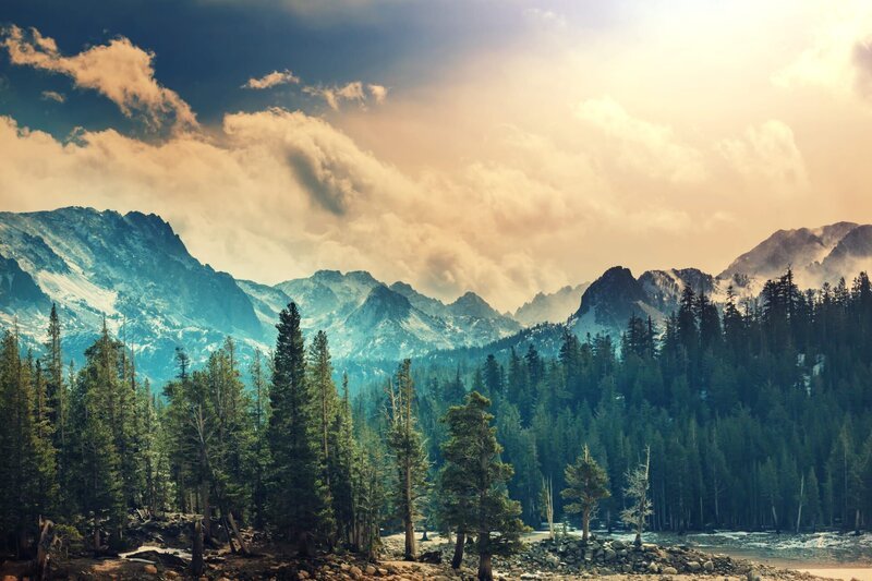 Bild: Shutterstock /​ Galyna Andrushko