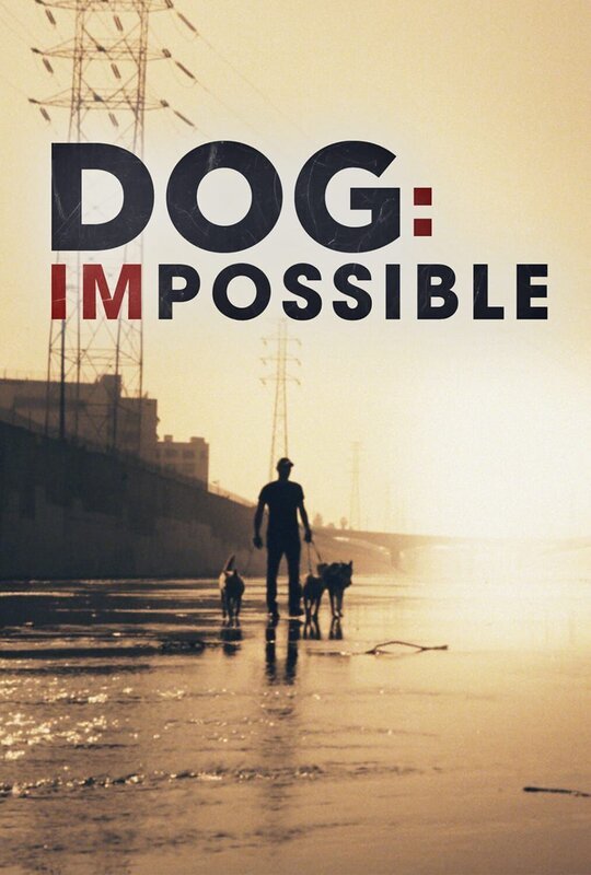 (1. Staffel) – Dog Impossible – Zweite Chance für Hunde – Artwork – Bild: 2019 National Geographic Partners, LLC. All rights reserved. Lizenzbild frei