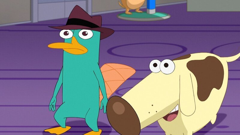 L-R: Perry the Platypus (voiced by Dee Bradley Baker), Diogee (voiced by Dee Bradley Baker) – Bild: Disney Channel (DE)