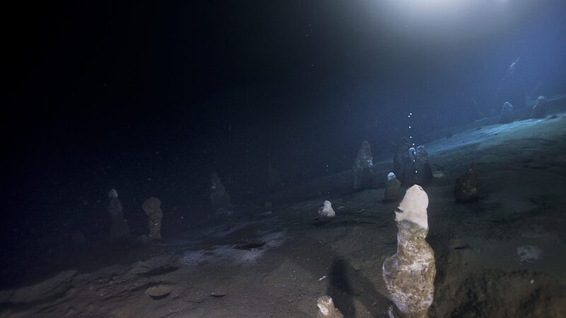 Bis zu 2 Meter hohe Tiefsee-Schlote geben Methan und Schwefelwasserstoff ins Wasser ab. – Bild: ZDF und NHK.