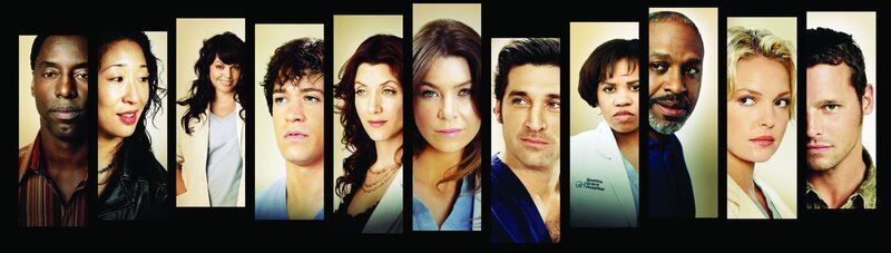 (3. Staffel) – Die Belegschaft des Seattle Grace Hospitals muss täglich mit neuen Überraschungen rechnen: Dr. Preston Burke (Isaiah Washington), Dr. Cristina Yang (Sandra Oh), Dr. Callie Torres (Sara Ramirez), ), Dr. George O’Malley (T.R. Knight), Dr. Addison Shepard (Kate Walsh), Dr. Meredith Grey (Ellen Pompeo), Dr. Derek Shepherd (Patrick Dempsey), Dr. Miranda Bailey (Chandra Wilson), Dr. Richard Webber (James Pickens, Jr.), Dr. Isobel Stevens (Katherine Heigl) und Dr. Alex Karev (Justin Chambers) … – Bild: Touchstone Television Lizenzbild frei