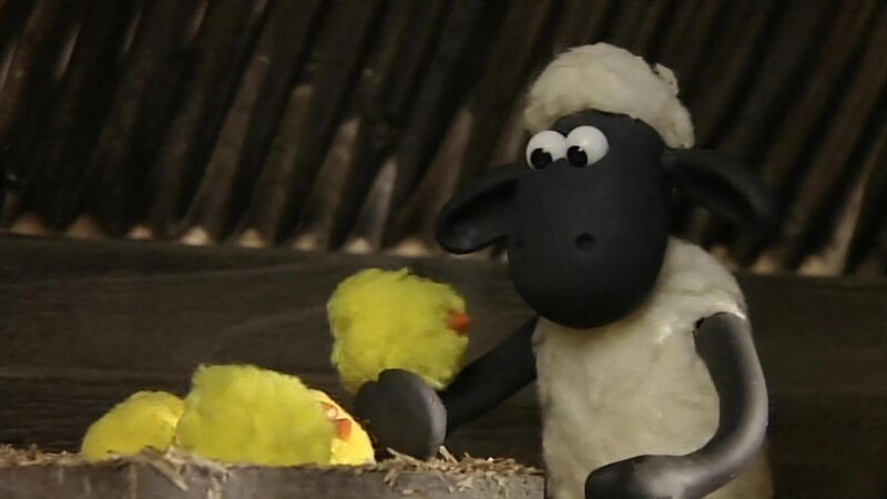 Shaun beobachtet die Küken beim Schlüpfen und wird gleich als Mutter adoptiert. – Bild: WDR/​Aardman Animation Ltd./​BBC