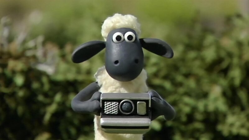 Shaun versucht sich als Fotograf und macht tolle Bilder. – Bild: WDR/​Aardman Animation Ltd./​BBC