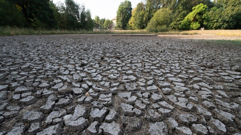 Ein ausgetrockneter Seegrund mit brauner rissiger Erde, im Hintergrund noch grüne Sträucher und Büsche am Uferrand. – Bild: ZDF und Helmholtz-Zentrum Umweltforschung Gmbh UFZ /​ André Kün/​Helmholtz-Zentrum Umweltforschun
