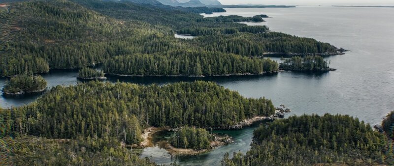 Den Nordmännern gelingt die Reise über den Atlantik bis zur Insel Neufundland im heutigen Kanada. – Bild: ZDF und Dash Pictures – Adam Jandrup