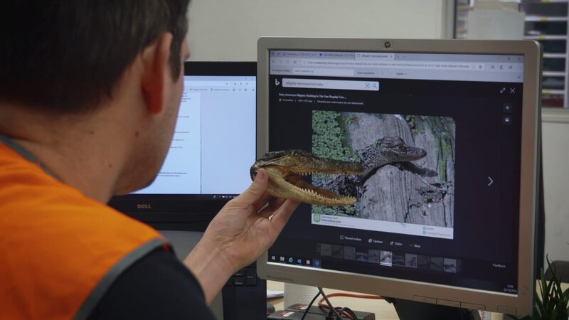 Bild: Discovery Channel