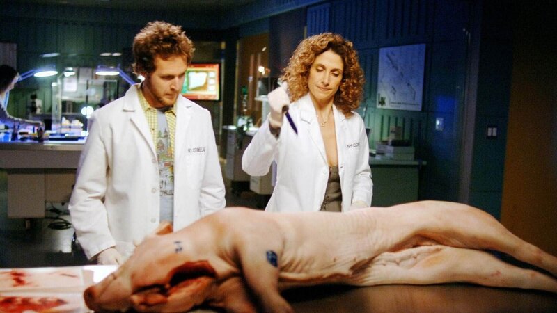 Adam (A. J. Buckley) und Stella (Melina Kanakaredes) probieren verschiedene Messertypen an einem toten Schwein aus. Nur so können sie die Tatwaffe, die zu den Stichwunden an der Leiche geführt hat, identifizieren. – Bild: MG RTL D /​ CBS