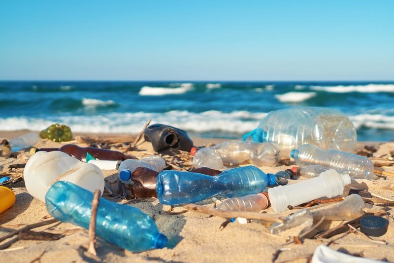 Bild: PLURIMEDIA (Shutterstock /​ Larina Marina)