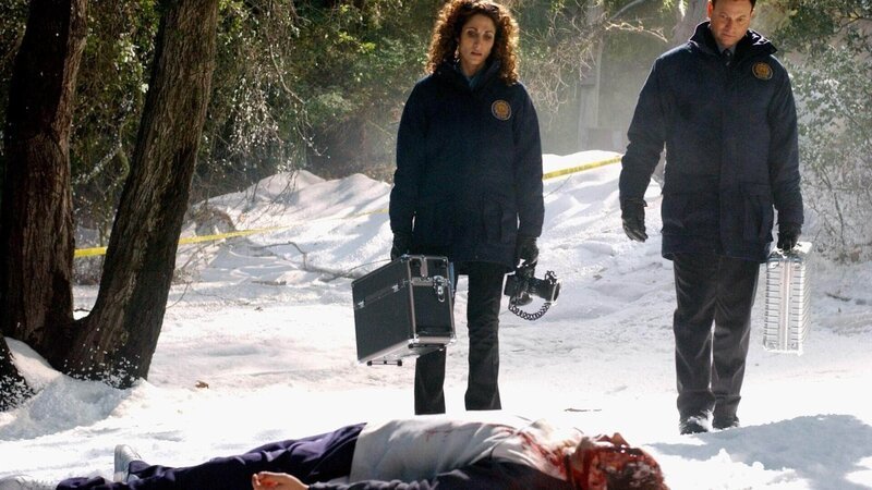 Detective Mac Taylor (Gary Sinise) und Detective Stella Bonasera (Melina Kanakaredes) ermitteln: Wurde Paul Montenassi (Nick Di Brizzi Jr.) erschlagen, weil er das Tattoo der Tanglewood-Boys fälschte? – Bild: MG RTL D /​ CBS