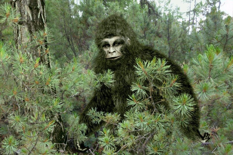 Sasquatch, Bigfoot, Yeti – Bild: Shutterstock /​ Shutterstock /​ Copyright (c) 2017 aleks1949/​Shutterstock. No use without permission.