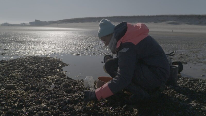 Sylt - Wellen, Wind und Watt – Bild: ZDF und arte