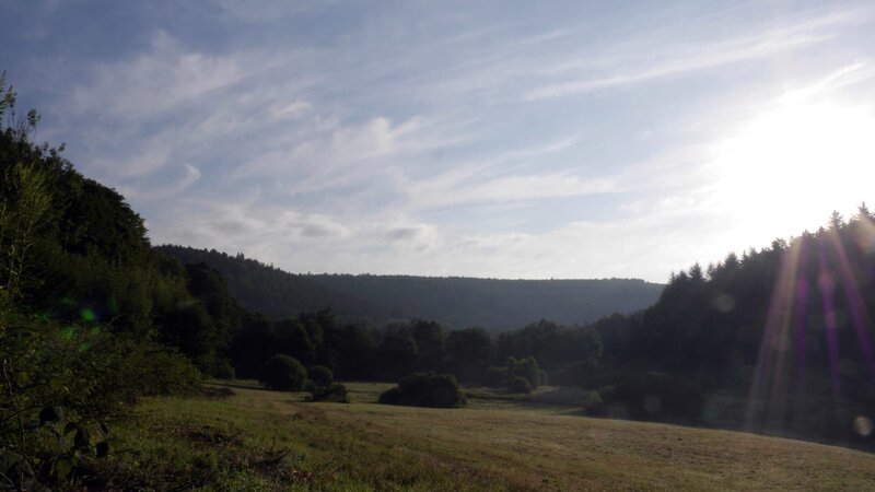 Spessart und Steigerwald gehören zu den größten Laubwaldgebieten Deutschlands. – Bild: BR/Marion Pöllmann Spessart und Steigerwald gehören zu den größten Laubwaldgebieten Deutschlands. – Bild: BR/Marion Pöllmann