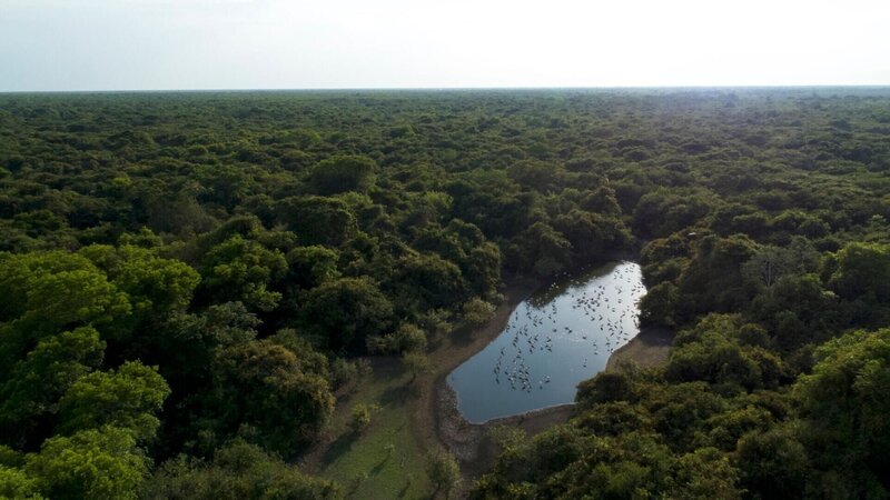 Luftaufnahme Pantanal, Brasilien – Bild: RTL /​ © 2021 Plimsoll Productions Ltd./​ © 2019 SNI/​SI Networks