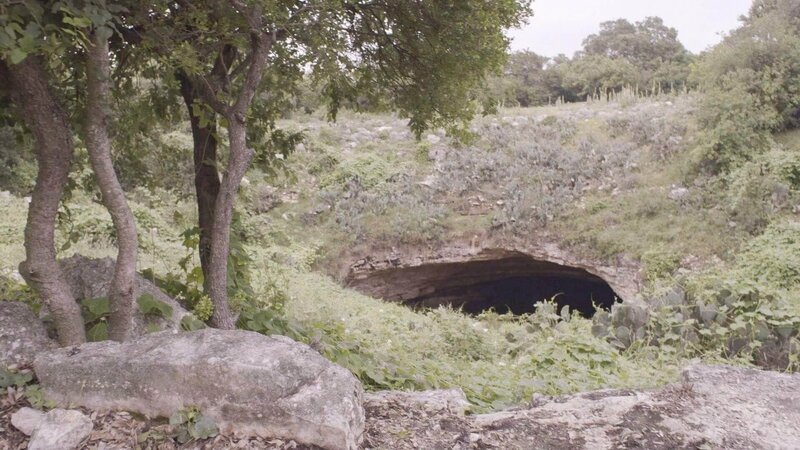 Höhle – Bild: RTL /​ MMXVI Wag TV & Discovery Communications, LLC