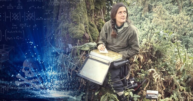 Dian Fossey war eine US-amerikanische Zoologin und Verhaltensforscherin. Sie setzte sich für den Schutz von Gorillas ein. – Bild: Tobias Lenz, Autorenkombinat