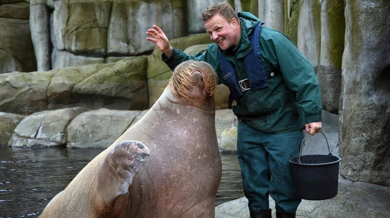 Seit 27 Jahren arbeitet Dirk Stutzki im Tierpark Hagenbeck. – Bild: BR/​NDR/​Dirk Stutzki