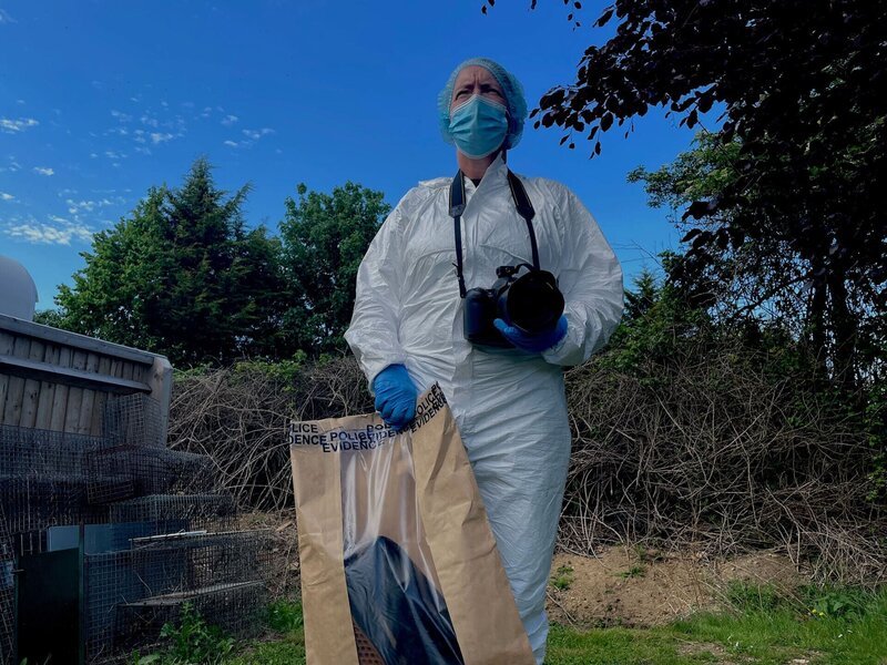Forensisch – Bild: Crime + Investigation /​ Spun Gold TV production