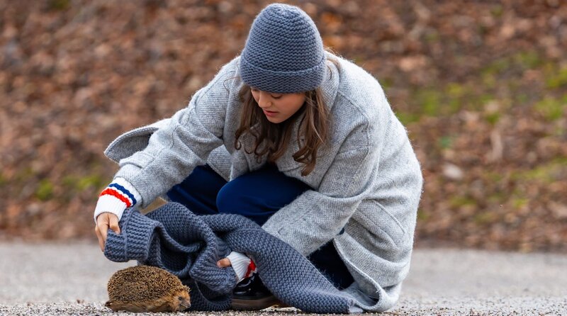Sturm der Liebe (SdL) Staffel 20 Episodenguide (Seite 6) – fernsehserien.de