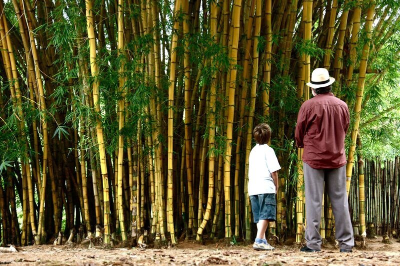 Zezé (João Guilherme Ávila, l.); Portuga (José de Abreu, r.) – Bild: PASSARO FILMS Zezé (João Guilherme Ávila, l.); Portuga (José de Abreu, r.) – Bild: PASSARO FILMS