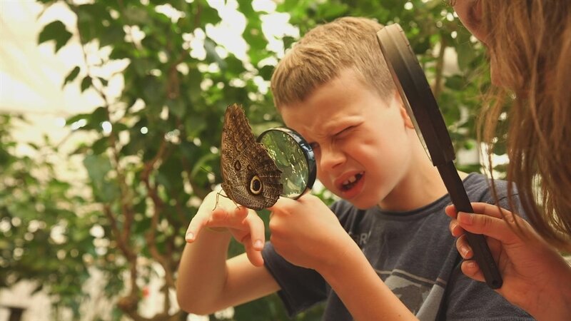 Oscar bestaunt einen Schmetterling. – Bild: NDR/​Sesame Workshop