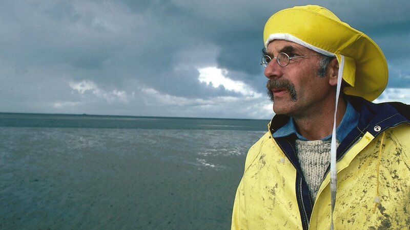 Peter (Peter Lustig) hat sich im Wattenmeer verlaufen und die Flut kommt. In welcher Richtung liegt das Boot? Peter wird es langsam unheimlich. – Bild: ZDF und Dieter Mahlow./​Dieter Mahlow