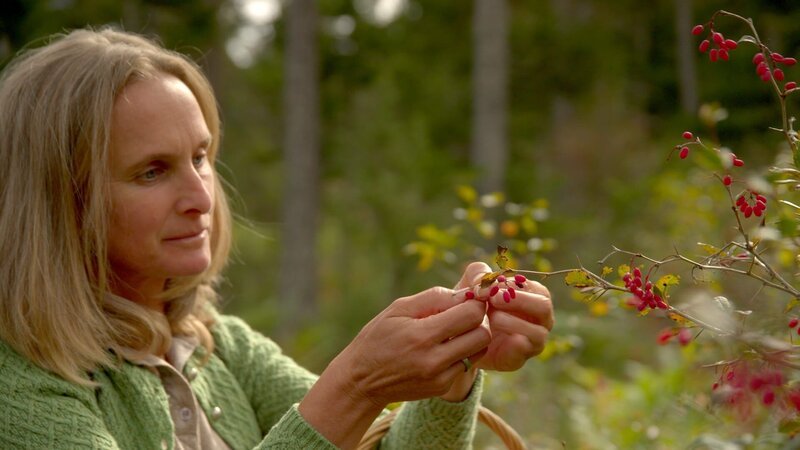 Naturführerin Barbara Wiegele. – Bild: ORF/emb film Naturführerin Barbara Wiegele. – Bild: ORF/emb film
