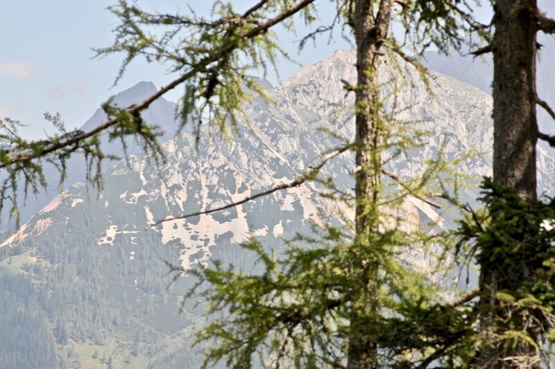 Landleben. – Bild: 3sat