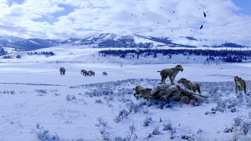 Age of Big Cats: Homotherium Feast – Bild: CuriosityStream-Inc Age of Big Cats: Homotherium Feast – Bild: CuriosityStream-Inc