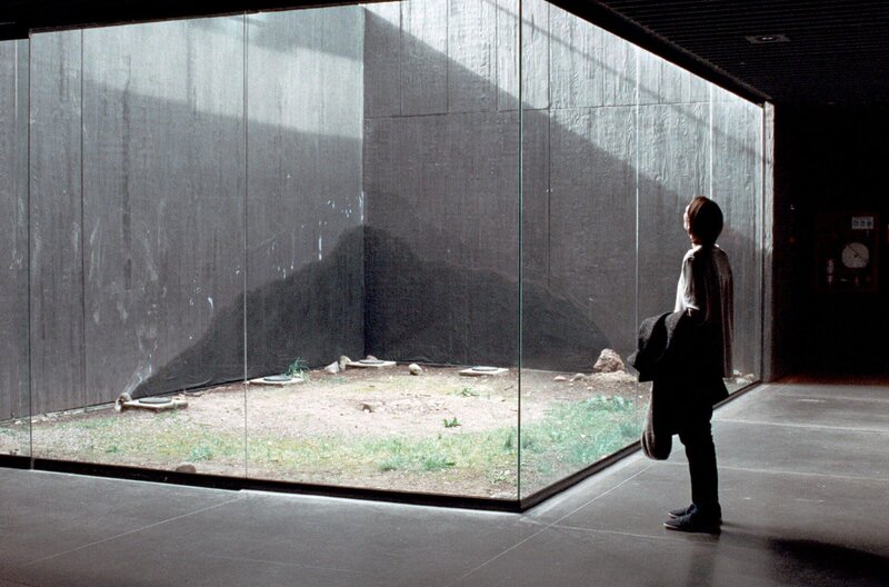 Memoria – Bild: ZDF /​ © Kick the Machine Films/​Burning /​ © Kick the Machine Films/​Burning/​Anna Sanders Films/​ Match Factory Productions/​ZDF/​Arte/​Piano/​2021